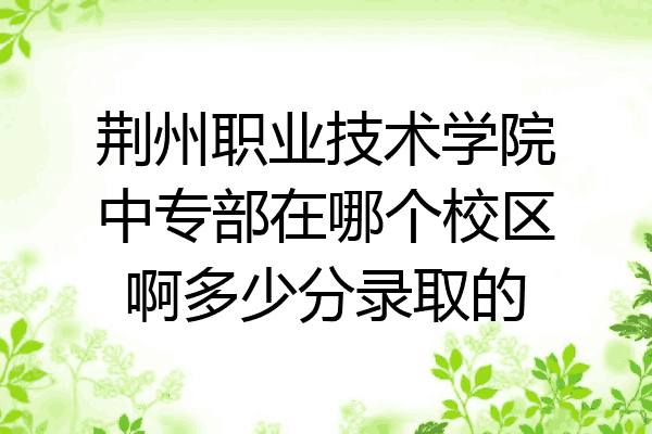 荆州职业技术学院中专部在哪个校区啊多少分录取的