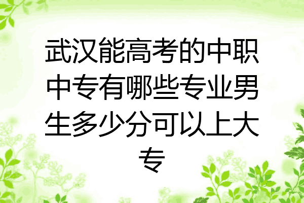 武汉能高考的中职中专有哪些专业男生多少分可以上大专