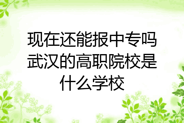 现在还能报中专吗武汉的高职院校是什么学校