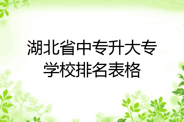 湖北省中专升大专学校排名表格