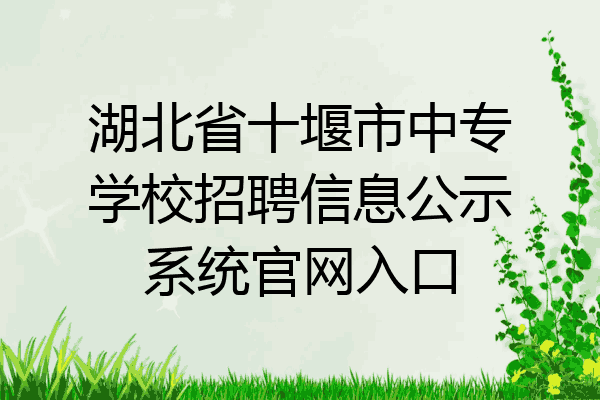 湖北省十堰市中专学校招聘信息公示系统官网入口