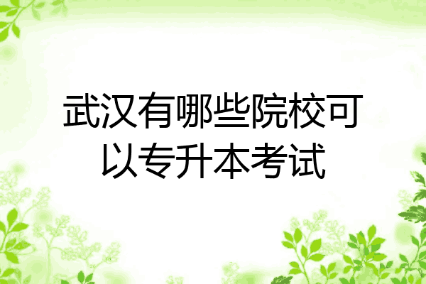 武汉有哪些院校可以专升本考试