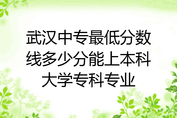 武汉中专最低分数线多少分能上本科大学专科专业
