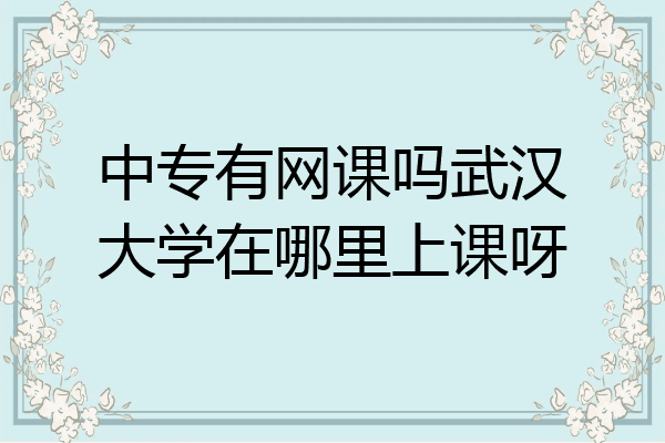 中专有网课吗武汉大学在哪里上课呀