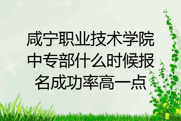 咸宁职业技术学院中专部什么时候报名成功率高一点