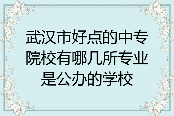 武汉市好点的中专院校有哪几所专业是公办的学校