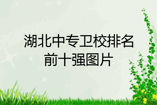 湖北中专卫校排名前十强图片