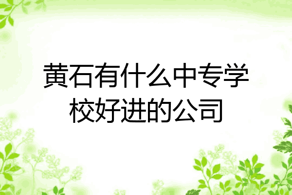黄石有什么中专学校好进的公司