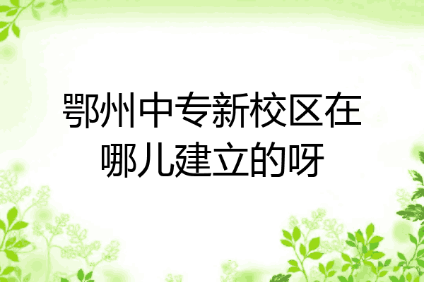鄂州中专新校区在哪儿建立的呀