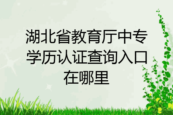 湖北省教育厅中专学历认证查询入口在哪里