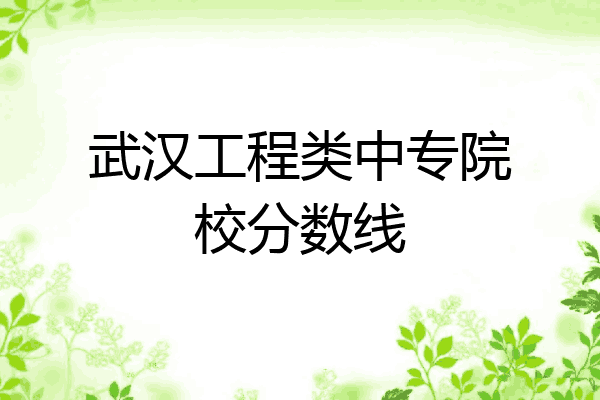 武汉工程类中专院校分数线