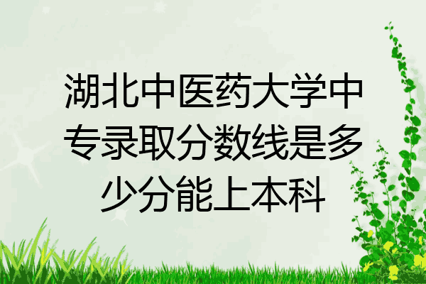 湖北中医药大学中专录取分数线是多少分能上本科