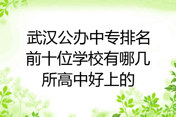 武汉公办中专排名前十位学校有哪几所高中好上的