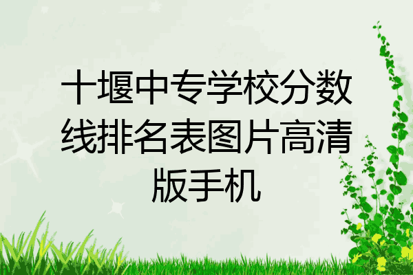 十堰中专学校分数线排名表图片高清版手机