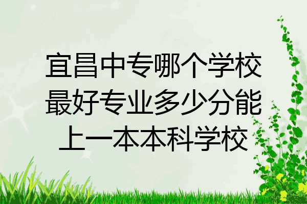 宜昌中专哪个学校最好专业多少分能上一本本科学校
