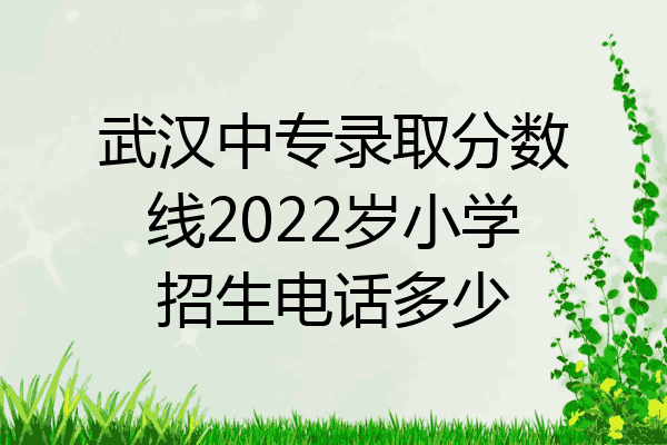武汉中专录取分数线2022岁小学招生电话多少