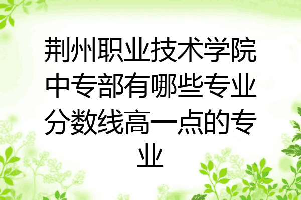 荆州职业技术学院中专部有哪些专业分数线高一点的专业