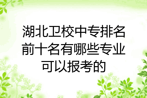湖北卫校中专排名前十名有哪些专业可以报考的