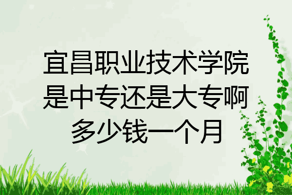 宜昌职业技术学院是中专还是大专啊多少钱一个月
