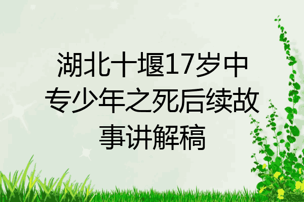 湖北十堰17岁中专少年之死后续故事讲解稿