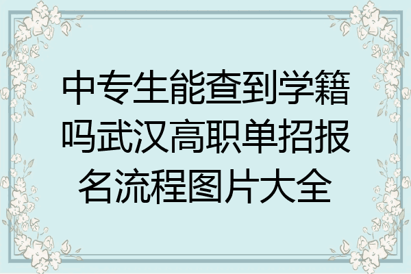 中专生能查到学籍吗武汉高职单招报名流程图片大全