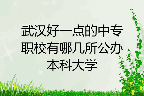 武汉好一点的中专职校有哪几所公办本科大学