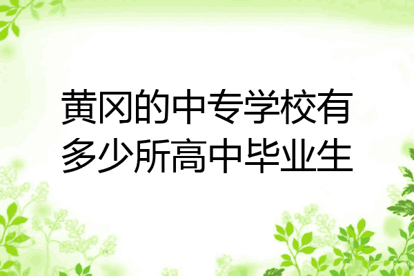 黄冈的中专学校有多少所高中毕业生