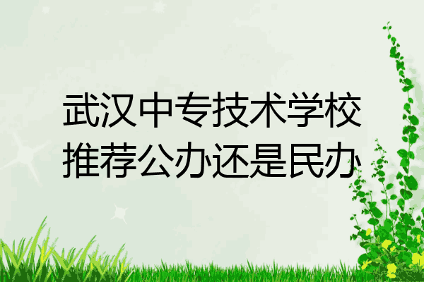 武汉中专技术学校推荐公办还是民办