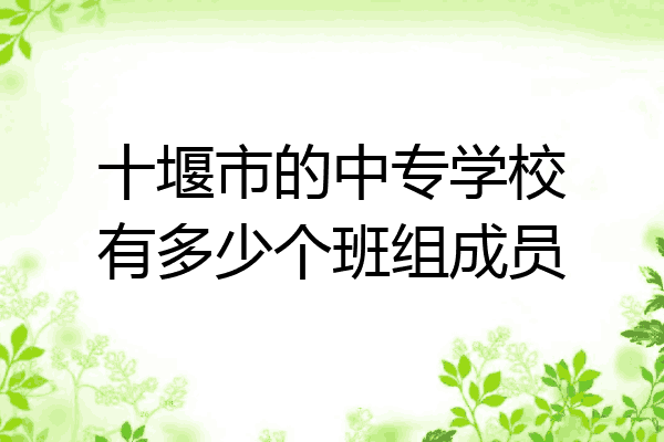 十堰市的中专学校有多少个班组成员
