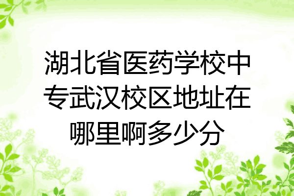 湖北省医药学校中专武汉校区地址在哪里啊多少分