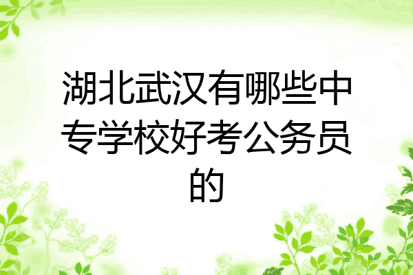 湖北武汉有哪些中专学校好考公务员的