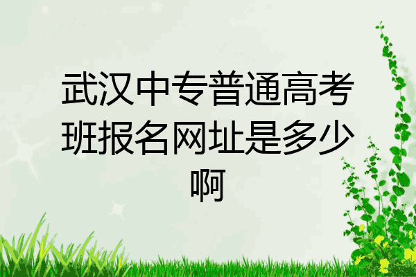 武汉中专普通高考班报名网址是多少啊