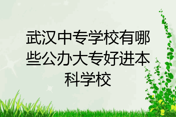 武汉中专学校有哪些公办大专好进本科学校