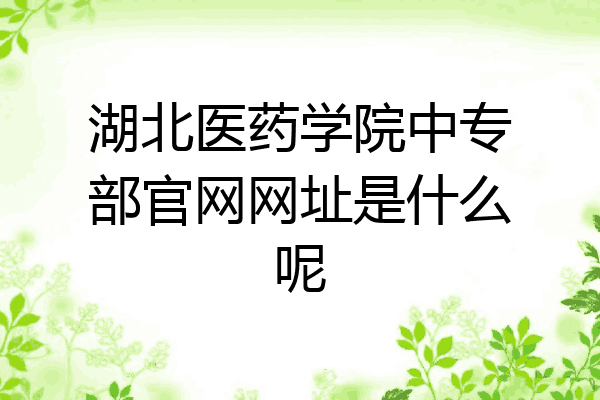 湖北医药学院中专部官网网址是什么呢