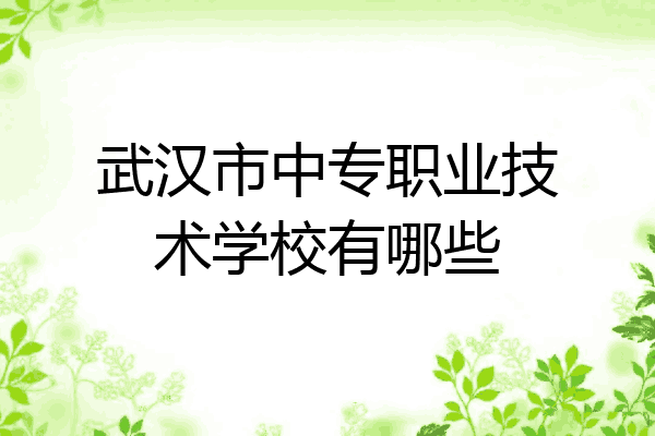 武汉市中专职业技术学校有哪些