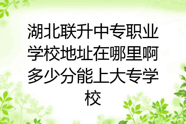 湖北联升中专职业学校地址在哪里啊多少分能上大专学校