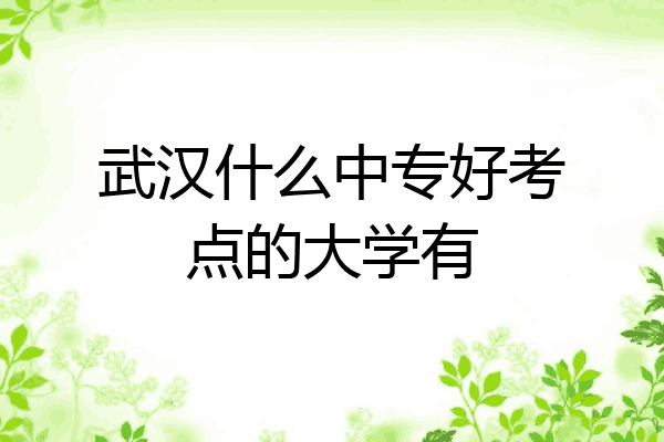 武汉什么中专好考点的大学有