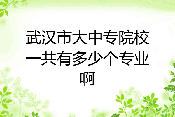 武汉市大中专院校一共有多少个专业啊