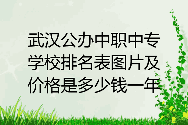 武汉公办中职中专学校排名表图片及价格是多少钱一年