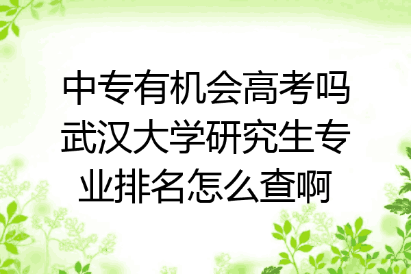 中专有机会高考吗武汉大学研究生专业排名怎么查啊