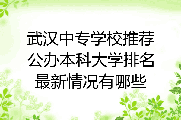 武汉中专学校推荐公办本科大学排名最新情况有哪些