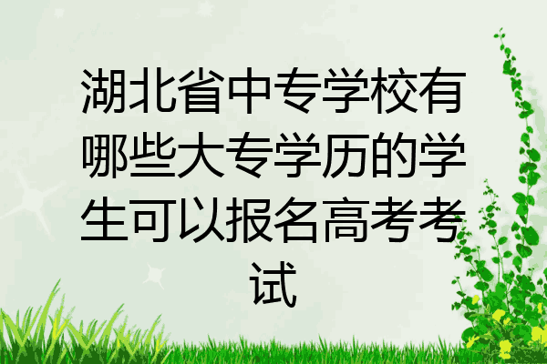 湖北省中专学校有哪些大专学历的学生可以报名高考考试