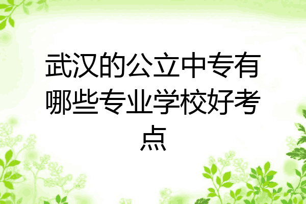 武汉的公立中专有哪些专业学校好考点