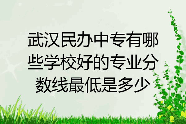 武汉民办中专有哪些学校好的专业分数线最低是多少
