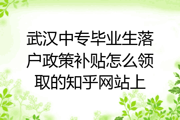 武汉中专毕业生落户政策补贴怎么领取的知乎网站上