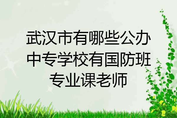 武汉市有哪些公办中专学校有国防班专业课老师
