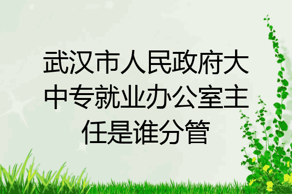 武汉市人民政府大中专就业办公室主任是谁分管