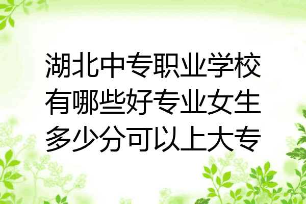 湖北中专职业学校有哪些好专业女生多少分可以上大专