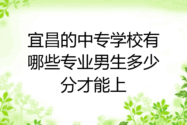 宜昌的中专学校有哪些专业男生多少分才能上