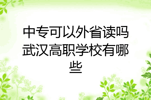 中专可以外省读吗武汉高职学校有哪些